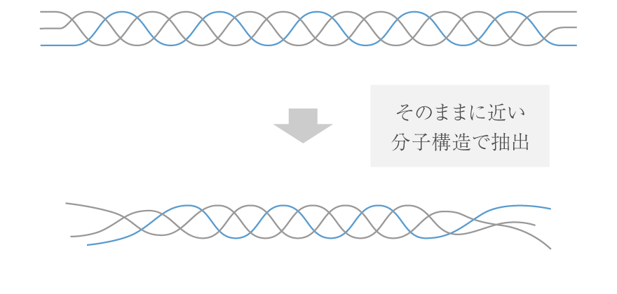 そのままに近い分子構造で抽出