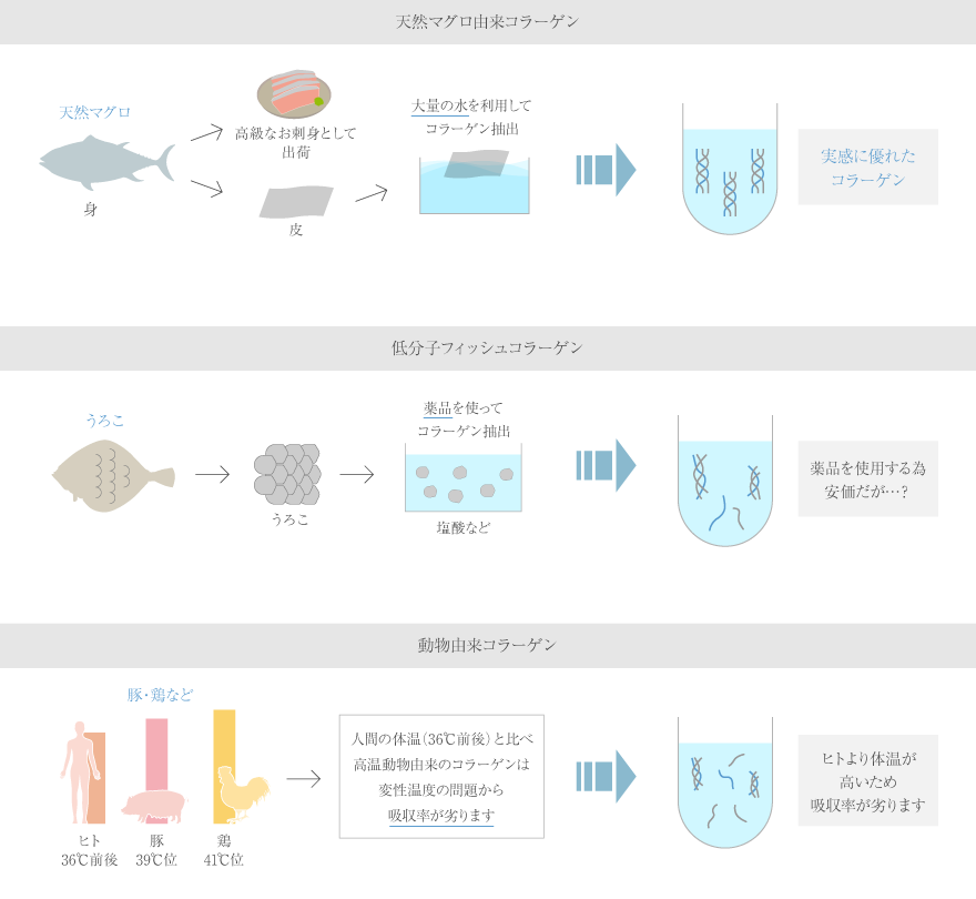 天然マグロ由来コラーゲン